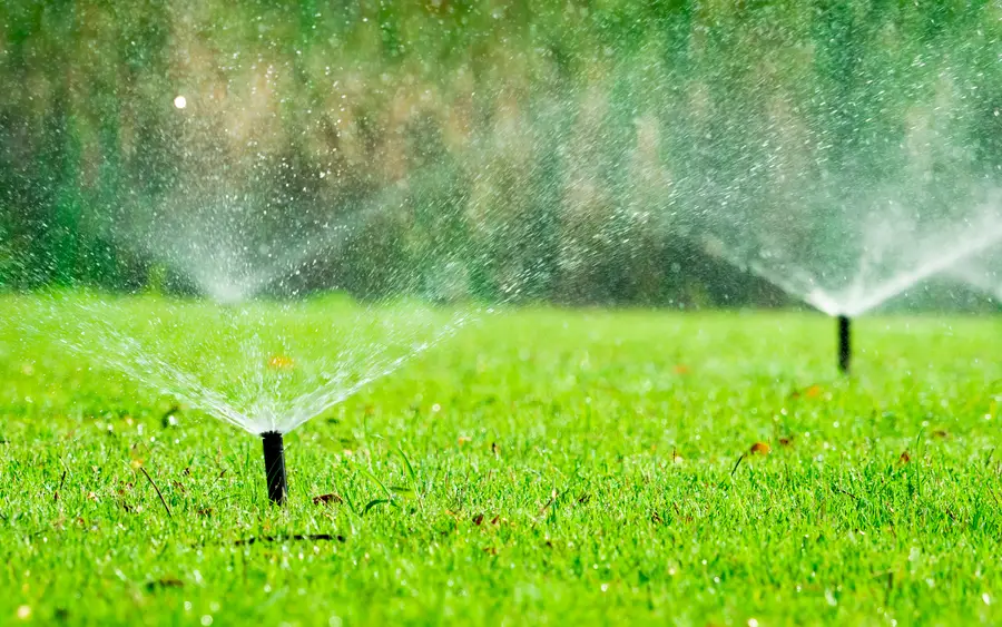 Local Irrigation Installation in Loveland, CO Local Irrigation Installation in Loveland, CO