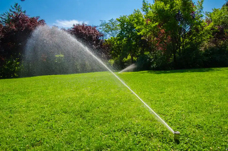 The Benefits Of Custom Irrigation Installation For Your Garden in Loveland, CO The Benefits Of Custom Irrigation Installation For Your Garden in Loveland, CO